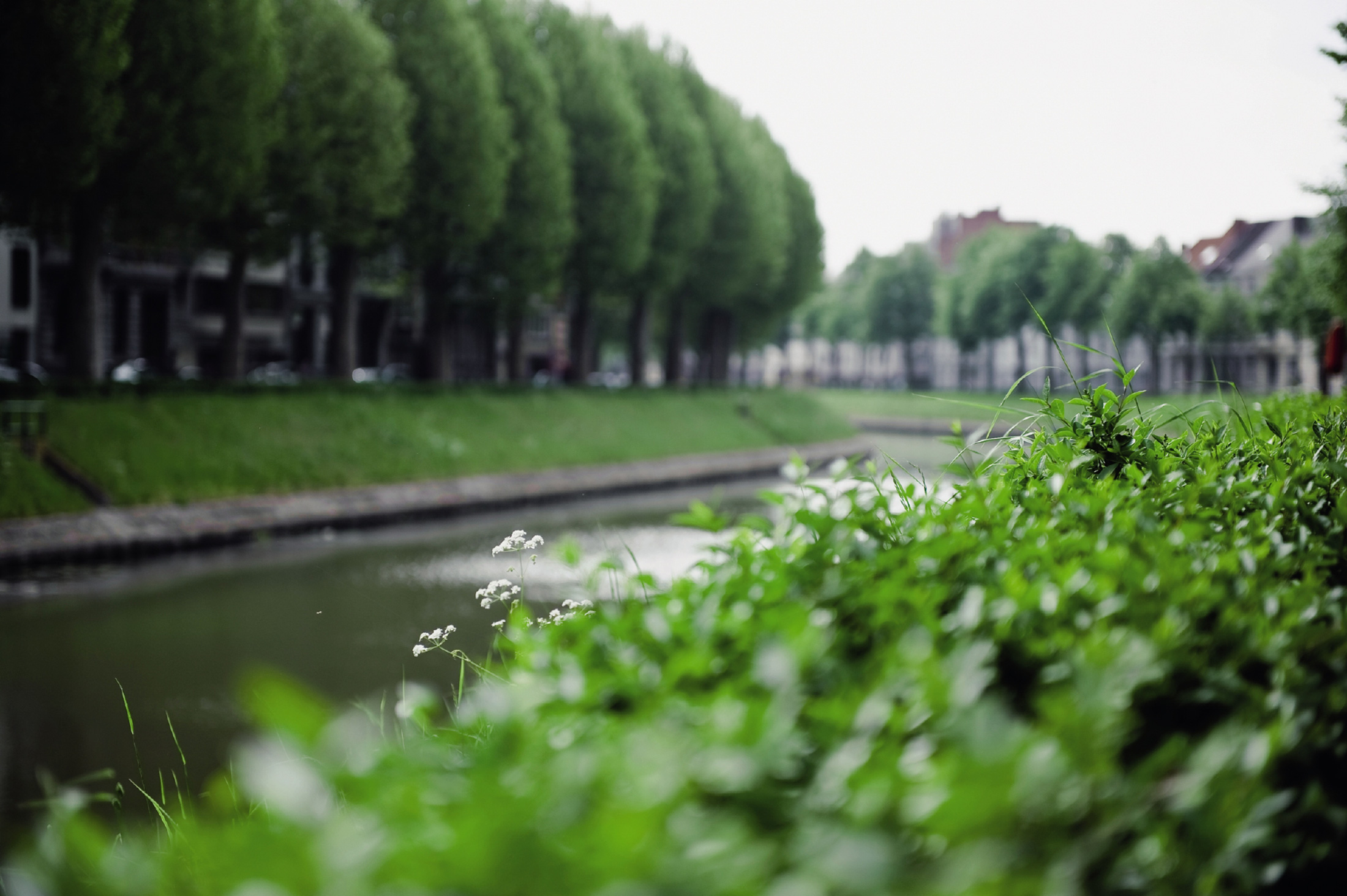 deRefuge Coupure groene omgeving